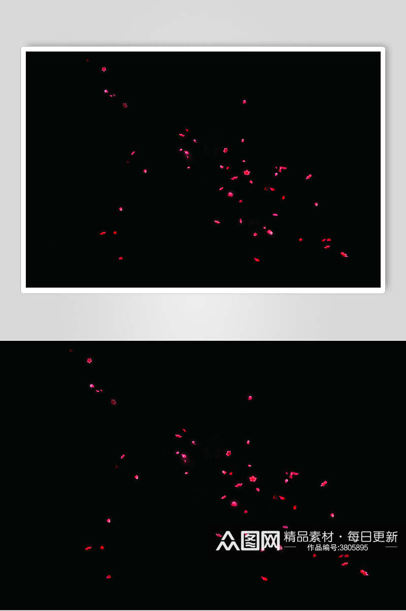 黑底精致飘花花瓣素材素材