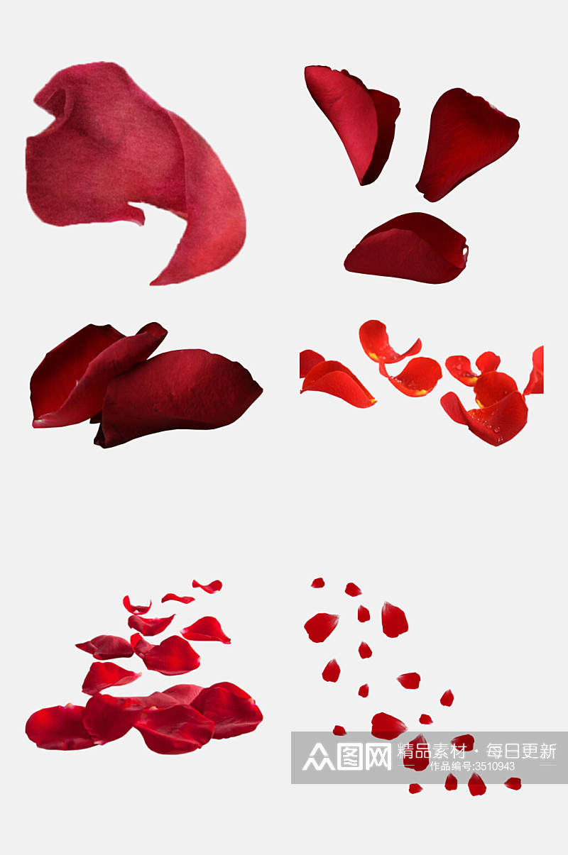 红色玫瑰红飘花花瓣免抠素材素材