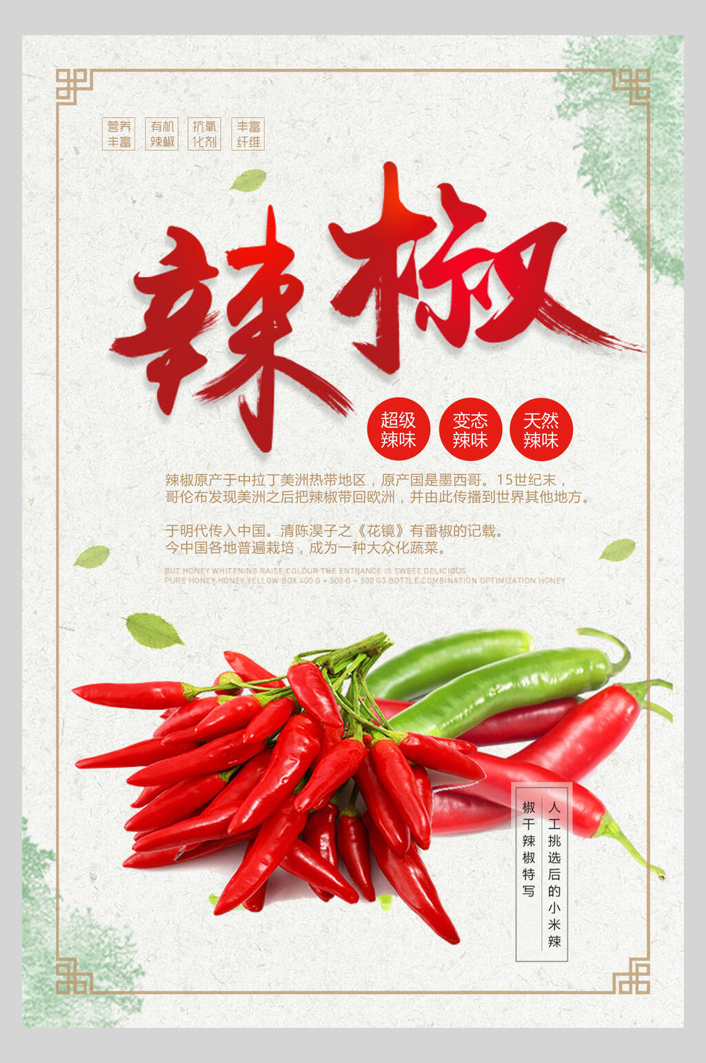 简约辣椒食物宣传海报素材
