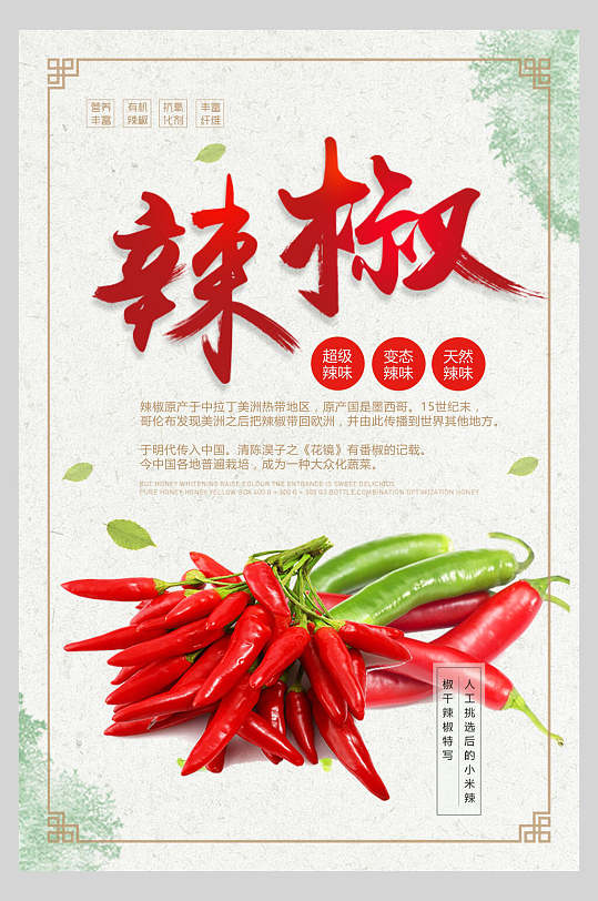 简约辣椒食物宣传海报