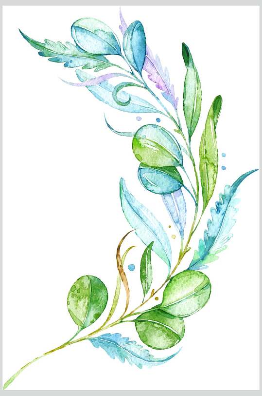 精美手绘植物插画图片