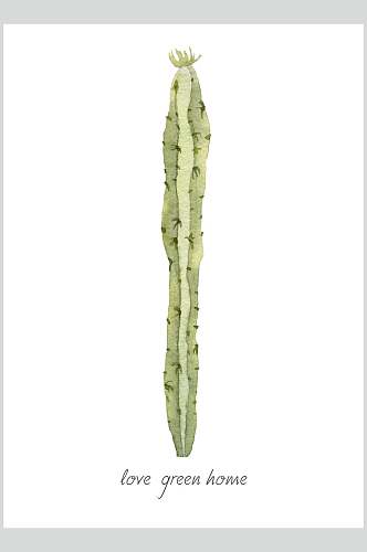 单根仙人柱手绘植物插画图片