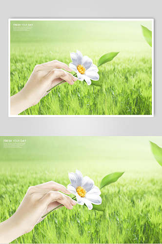 手拿花朵春天大自然海报