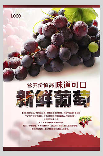营养价值高味道可口葡萄采摘促销海报