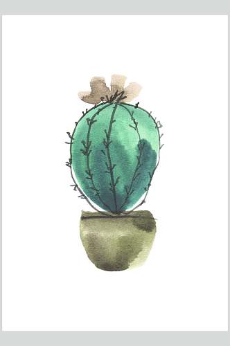 仙人球手绘植物插画图片