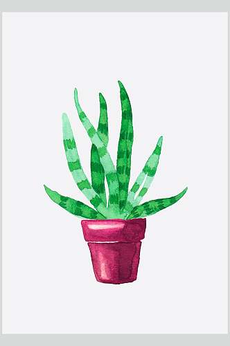 红色盆栽绿叶手绘植物插画图片