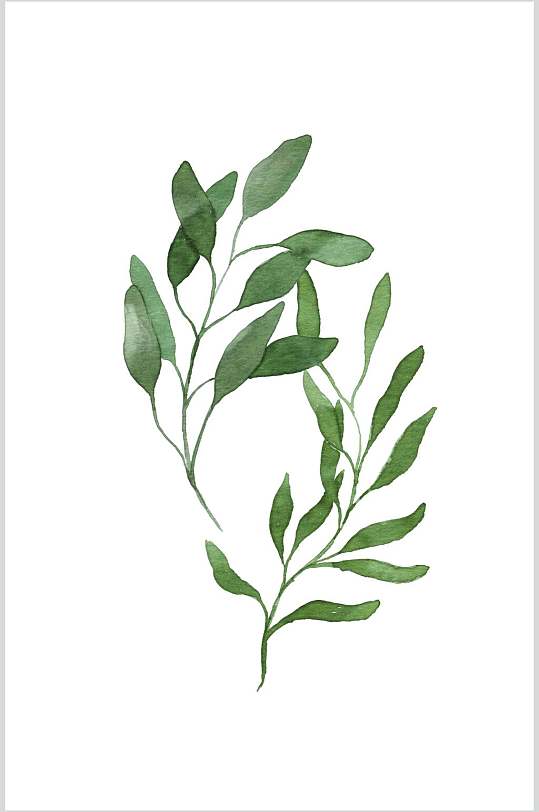 手绘植物枝叶插画图片