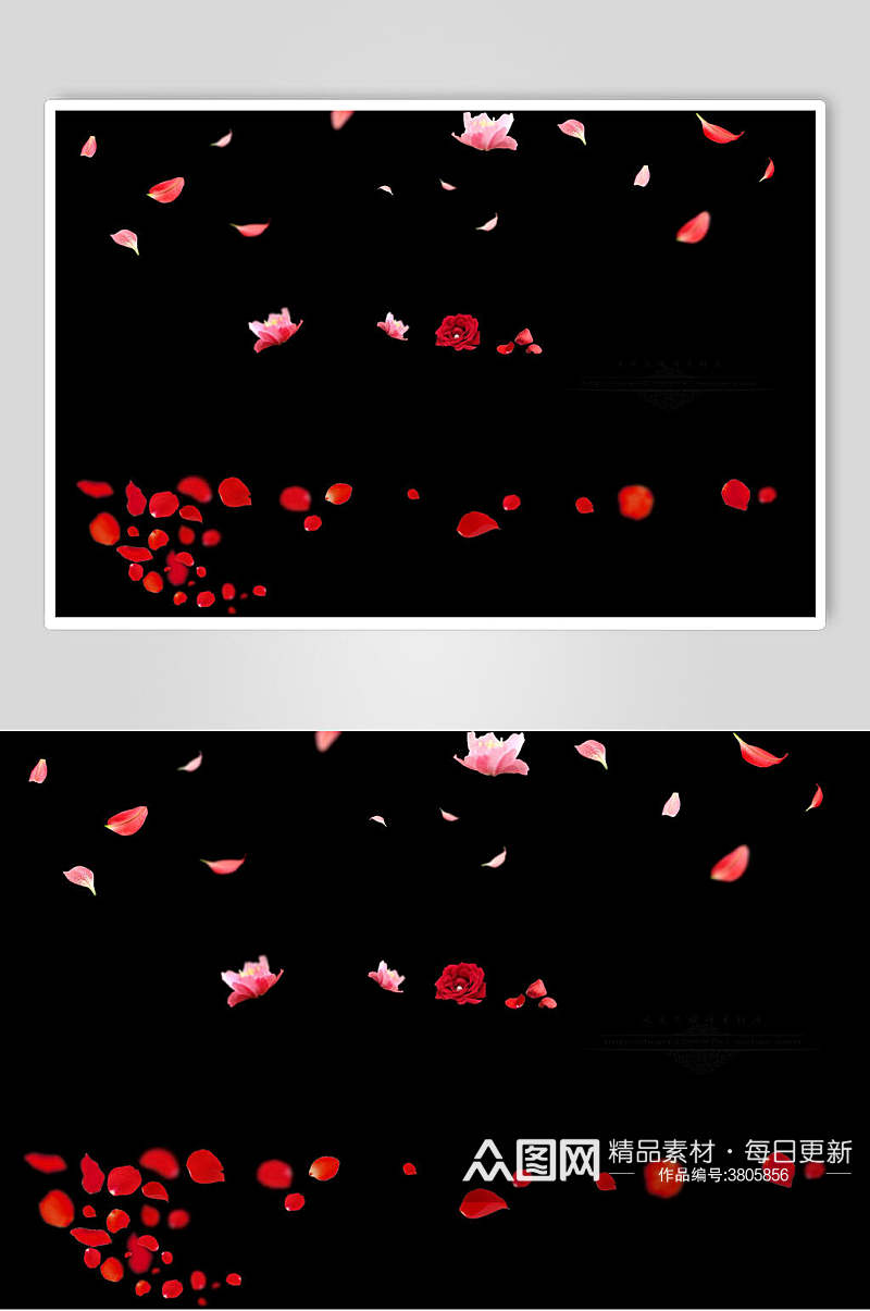 浪漫红色花卉飘花花瓣素材素材