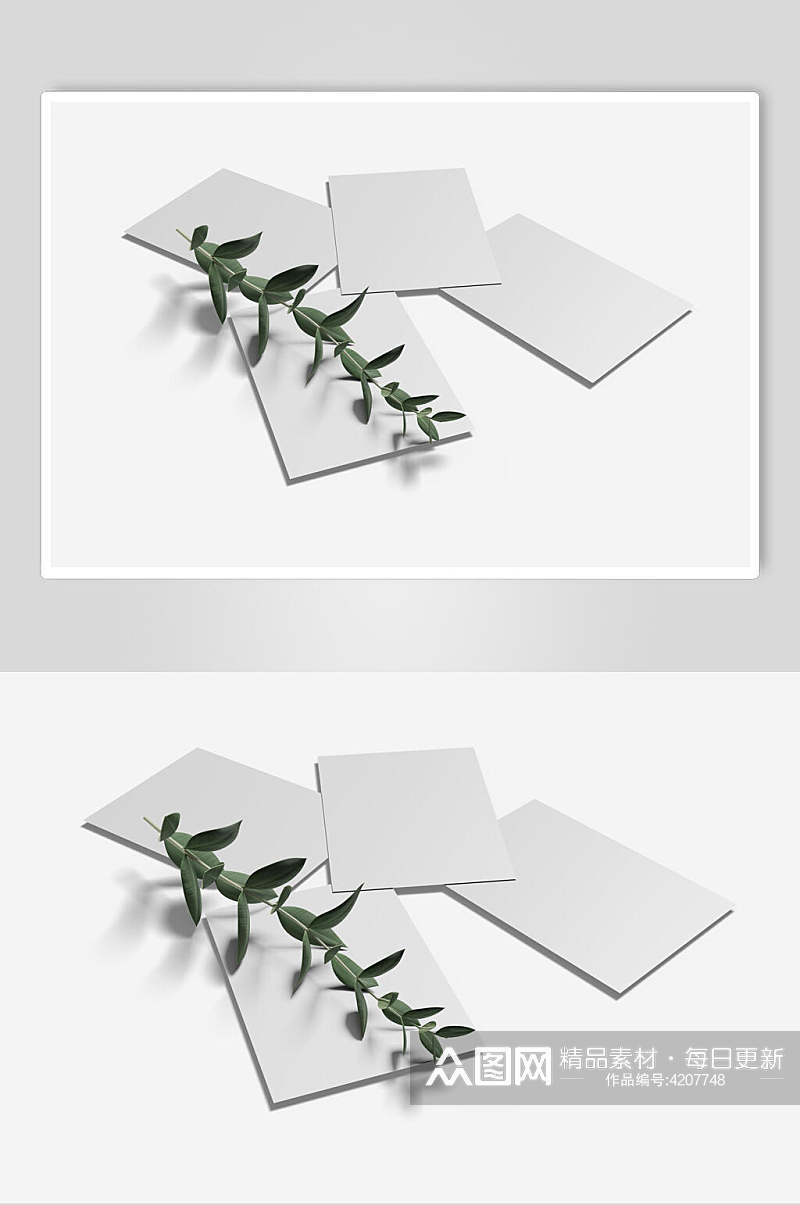 植物长方形绿白色卡片折页样机素材