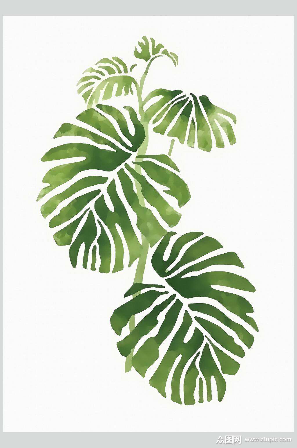 创意手绘小清新荷叶植物插画图片素材