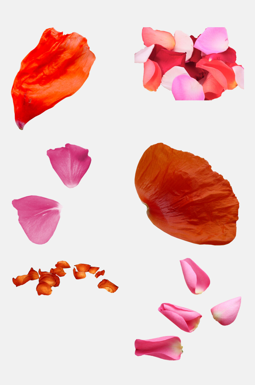清新时尚飘花花瓣免抠素材素材