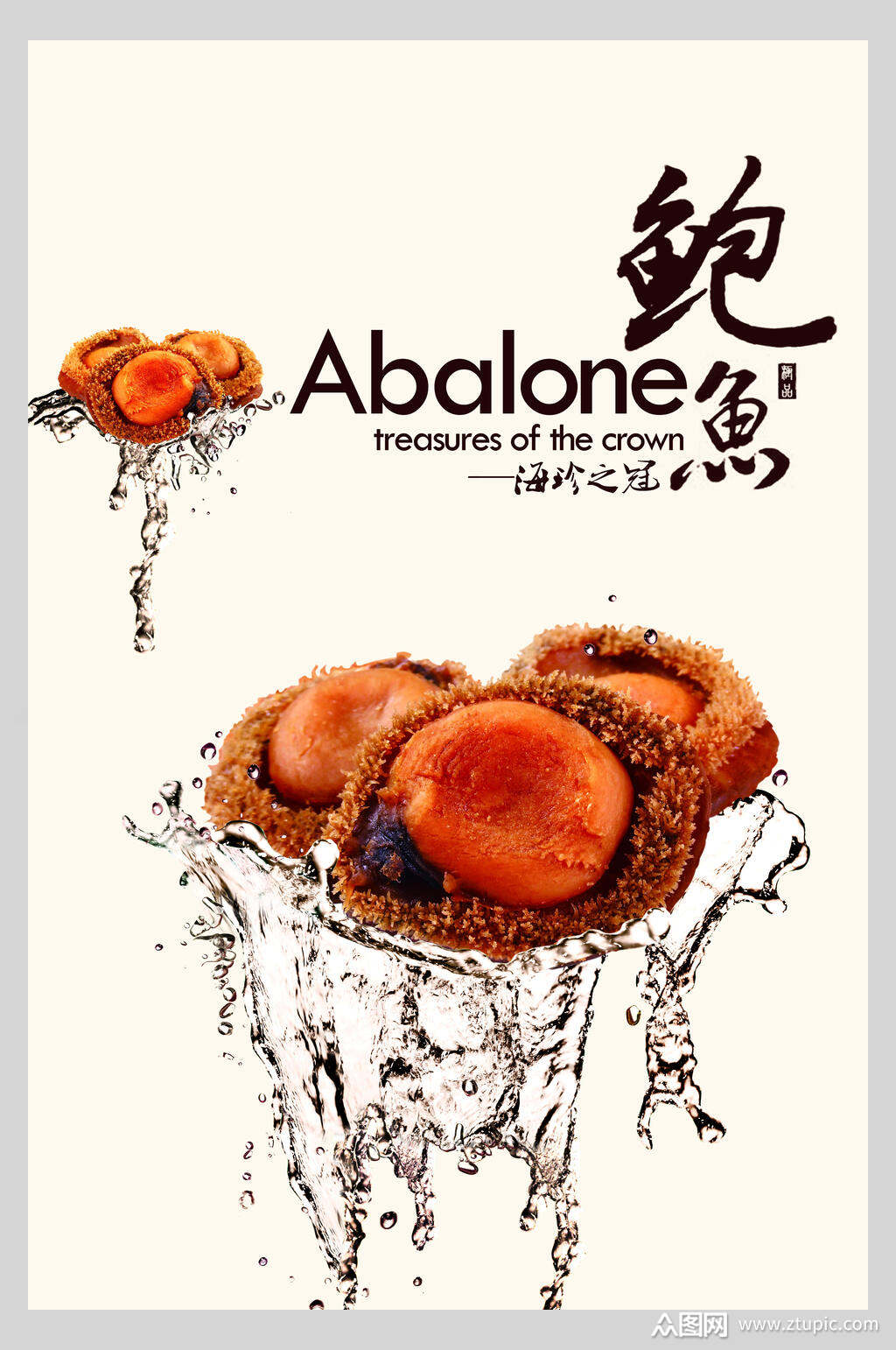 英文鲍鱼美食海报素材