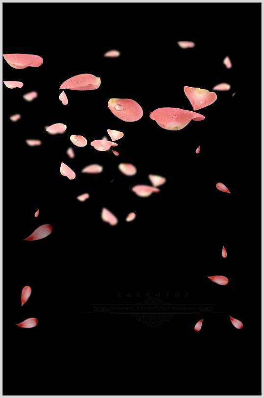 粉色花卉飘花花瓣素材