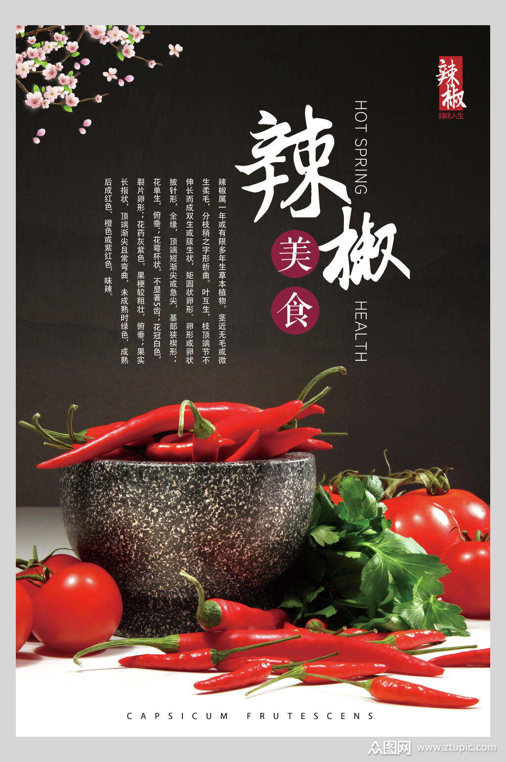 唯美辣椒食物宣传海报素材