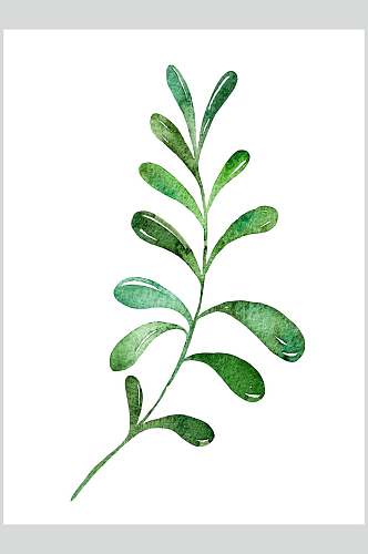 绿色树叶手绘植物插画图片