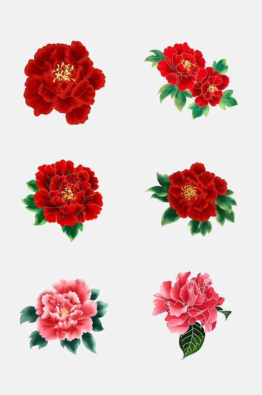 红色鲜花牡丹花朵图案免抠素材