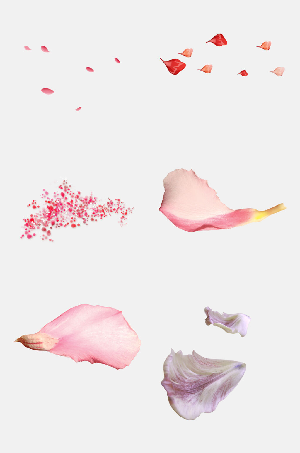 粉色飘花花瓣免抠素材素材