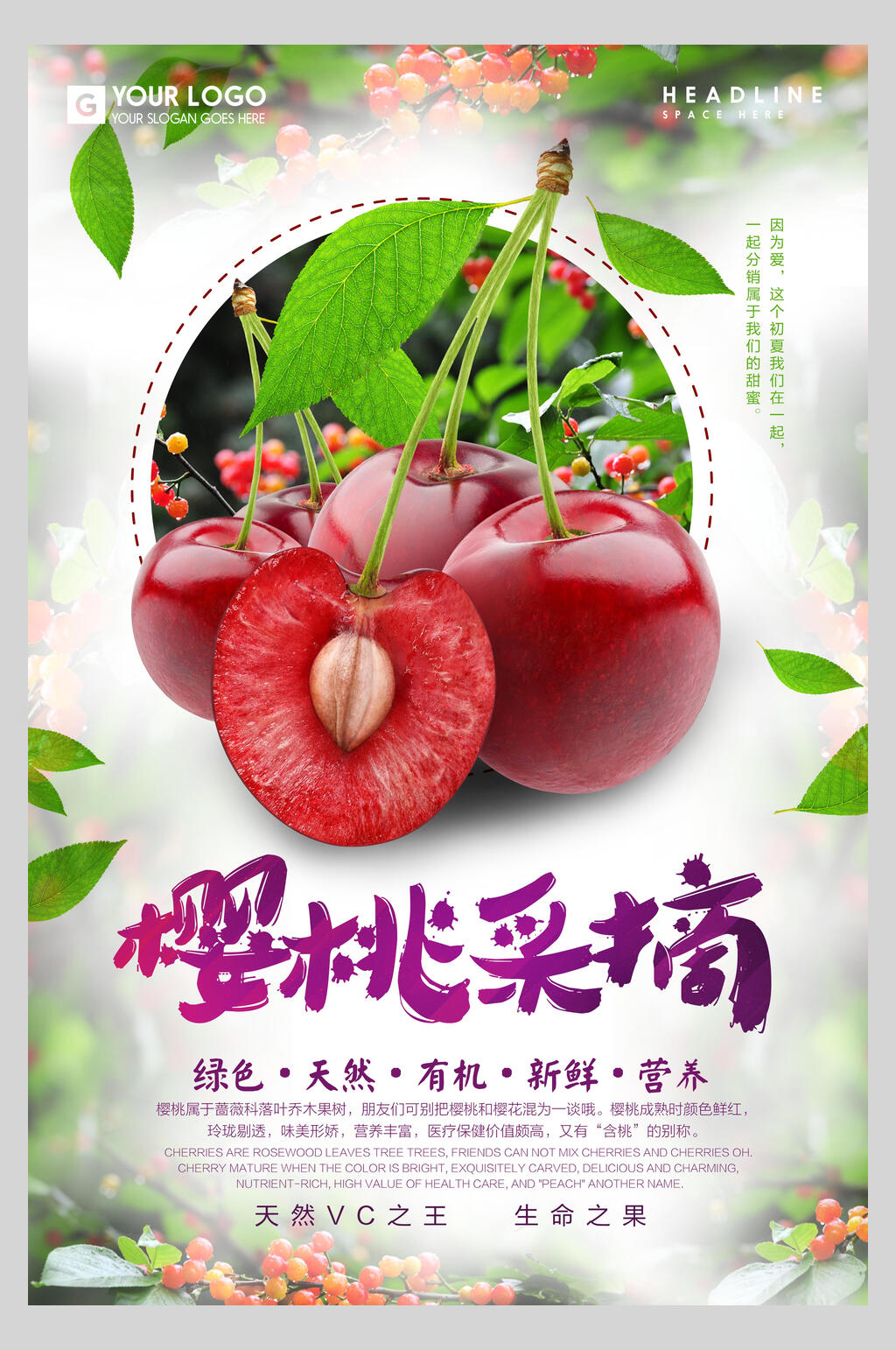 有机樱桃采摘促销海报素材