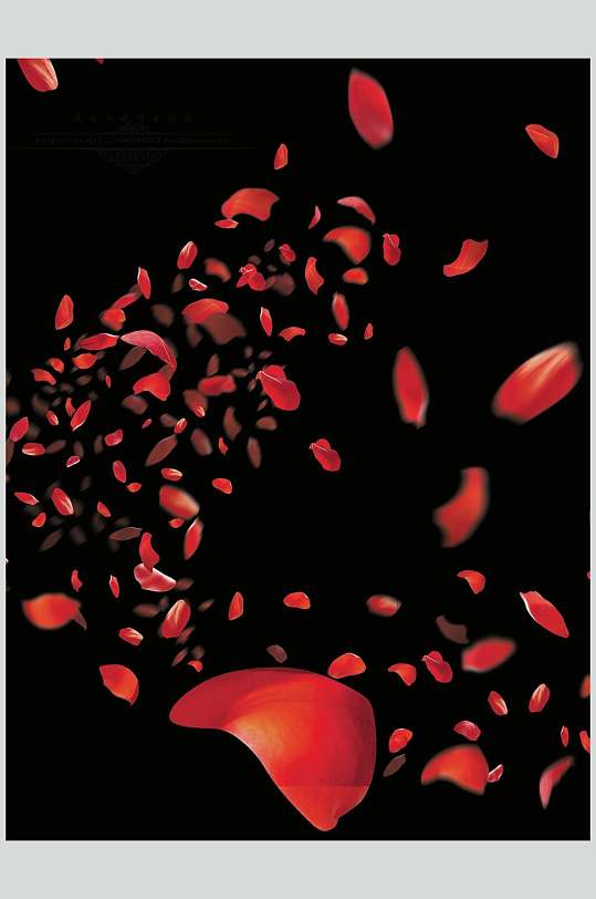 高端红色飘花花瓣素材