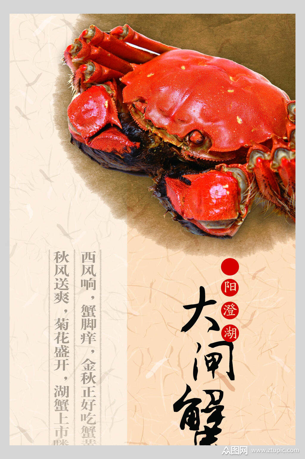 肥美大闸蟹海报素材