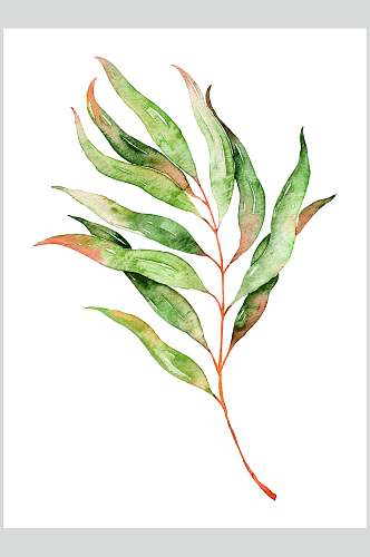 绿色树枝树叶手绘植物插画图片