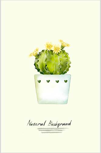 仙人球黄花手绘植物插画图片