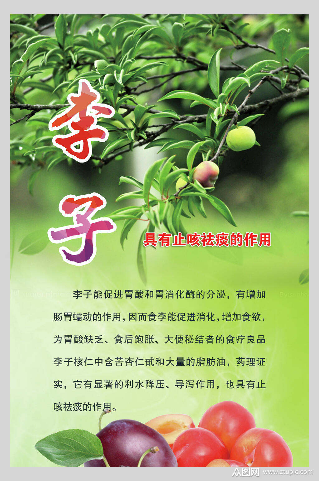 美味李子海报素材