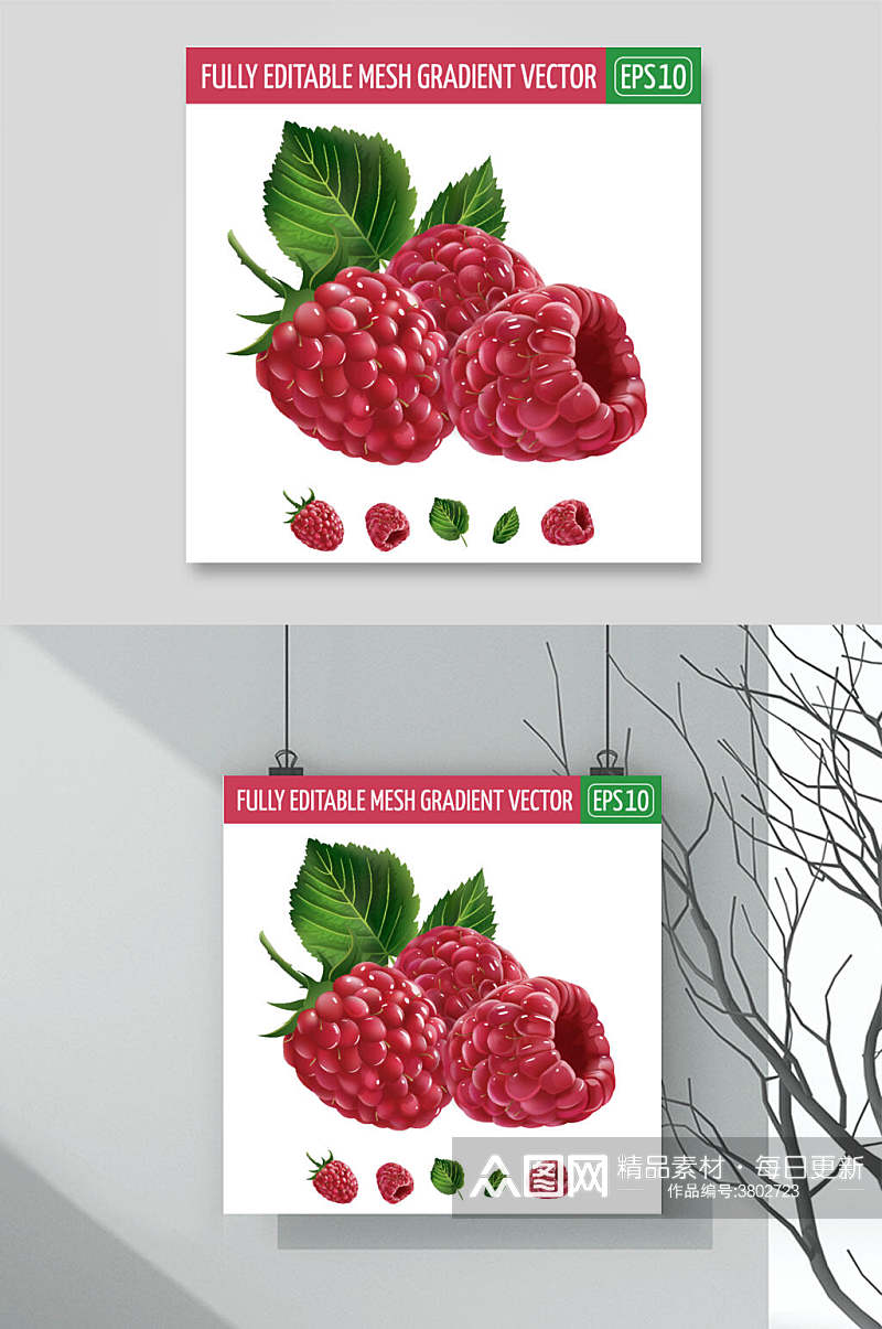 树莓水果蔬菜矢量素材素材