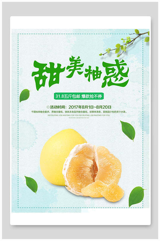 甜美沙田柚海报