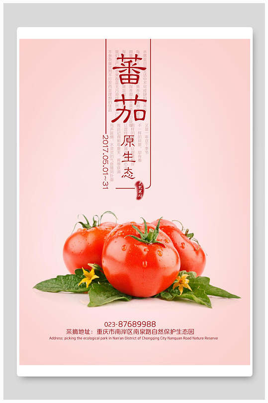 新鲜番茄原生态海报