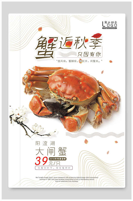 秋季大闸蟹美食海报-众图网