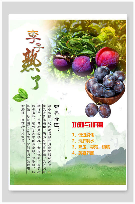 水果熟了李子海报