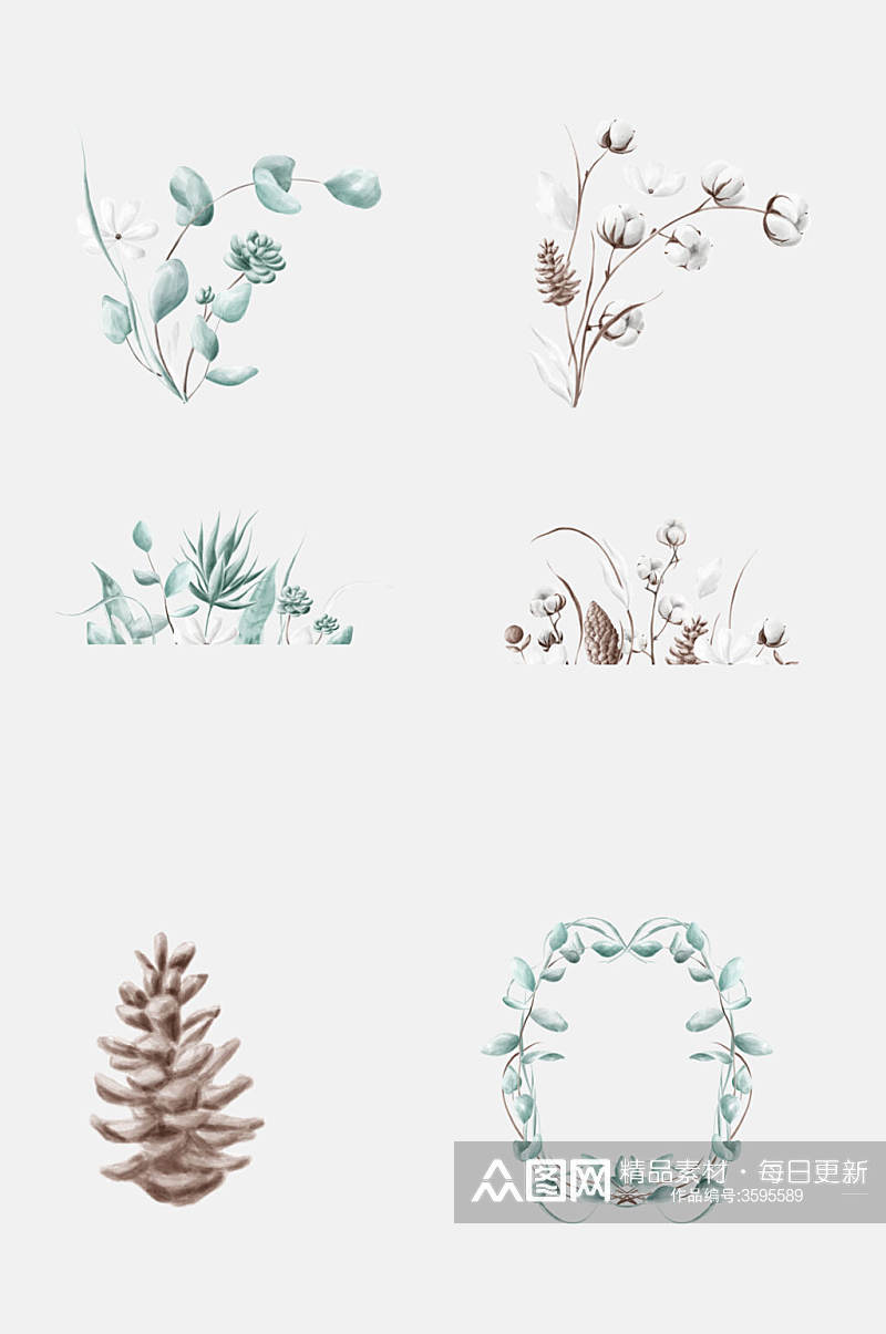 水彩植物棉花卉免抠设计素材素材