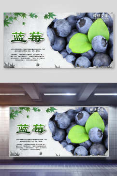 绿色蓝莓展板