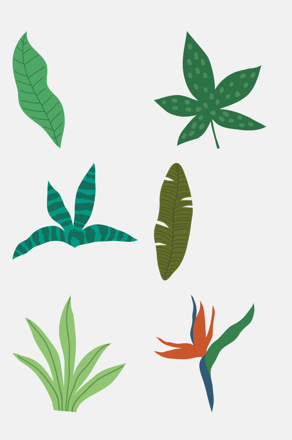 清新植物叶子免抠素材素材