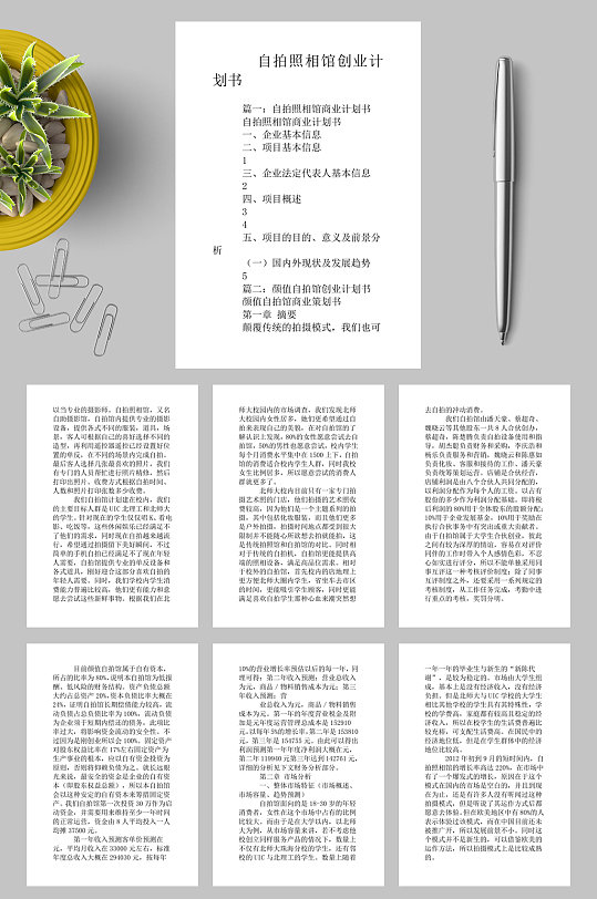 自拍照相馆创业计划书word