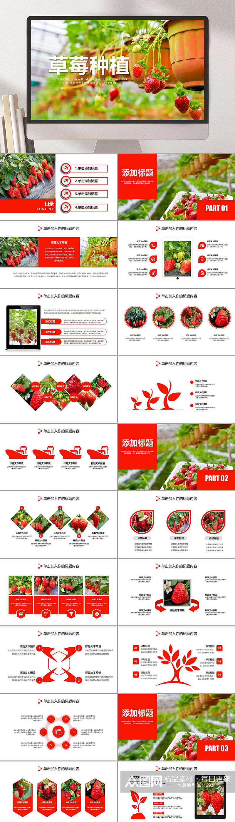 草莓种植PPT素材