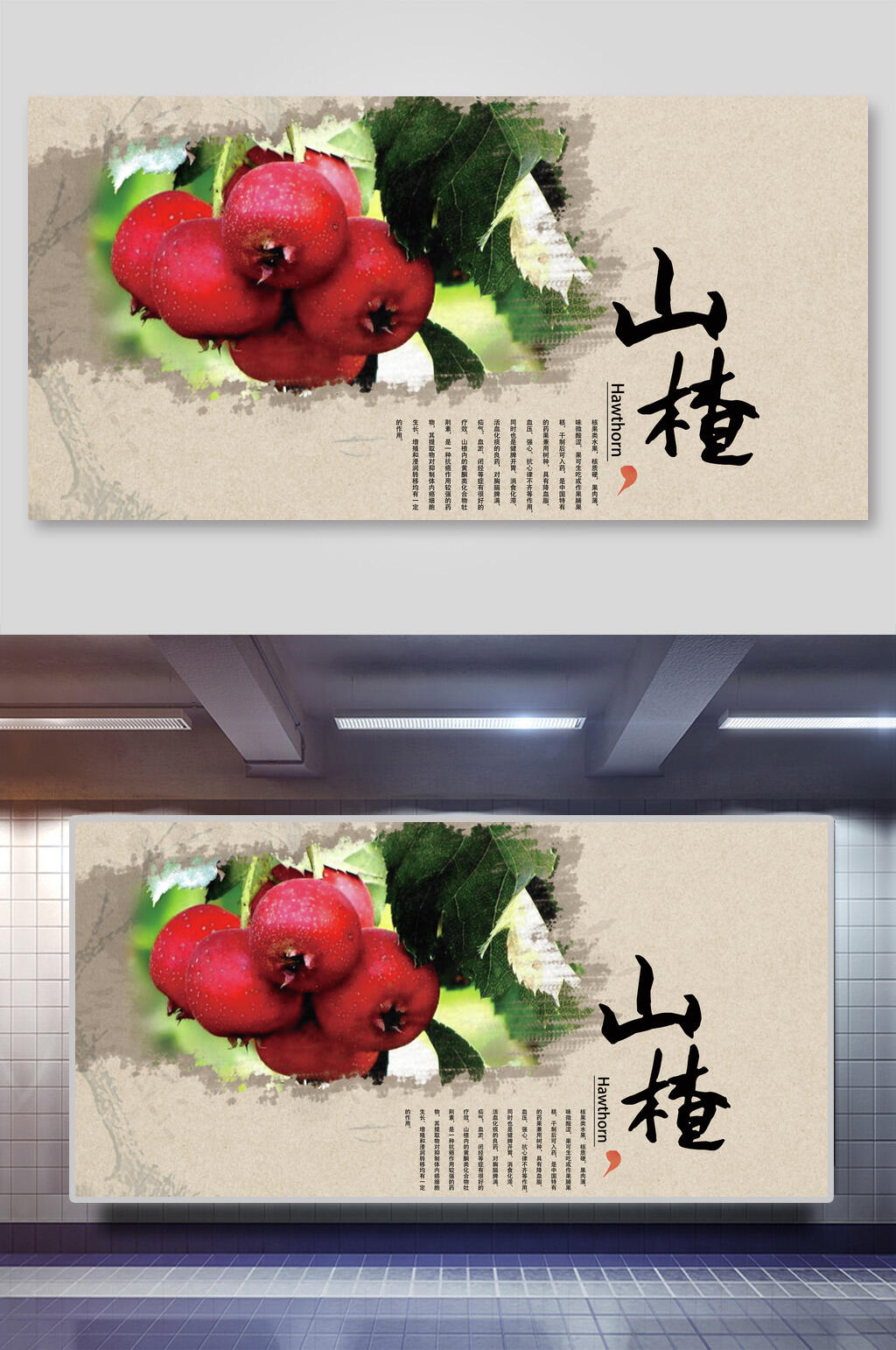 水果美食鲜果新鲜美味山楂展板素材