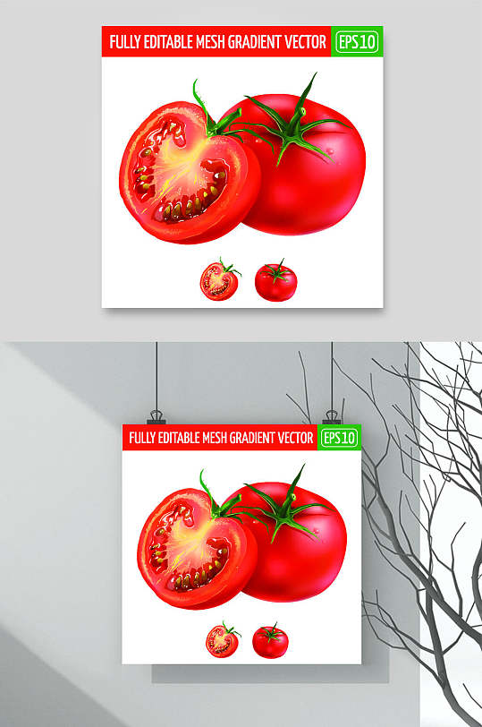 西红柿水果蔬菜矢量素材