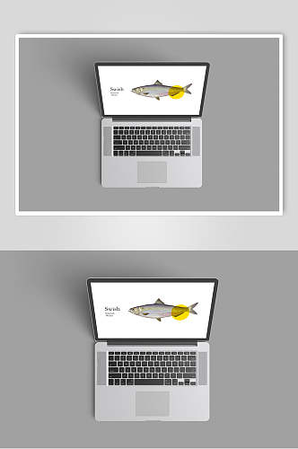 键盘鱼海鲜餐饮品牌VI设计样机