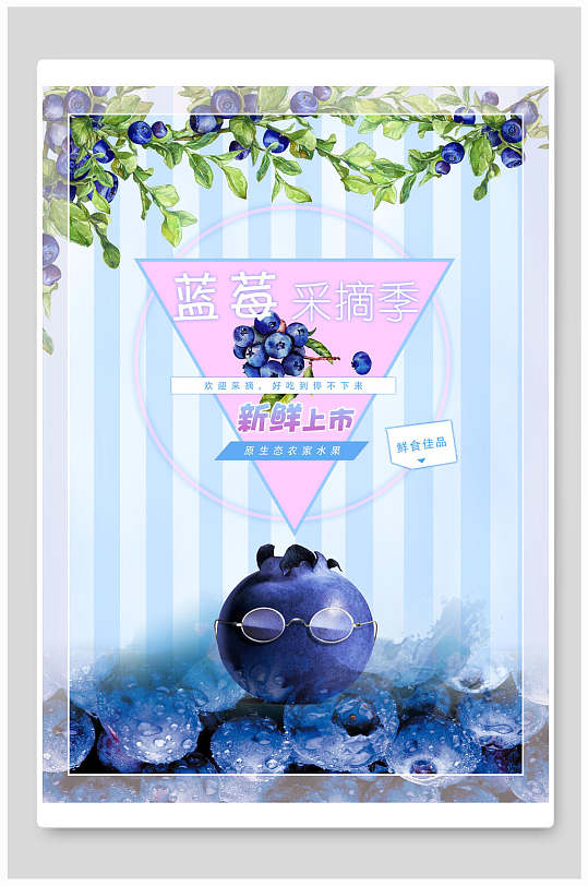 采摘季蓝莓海报