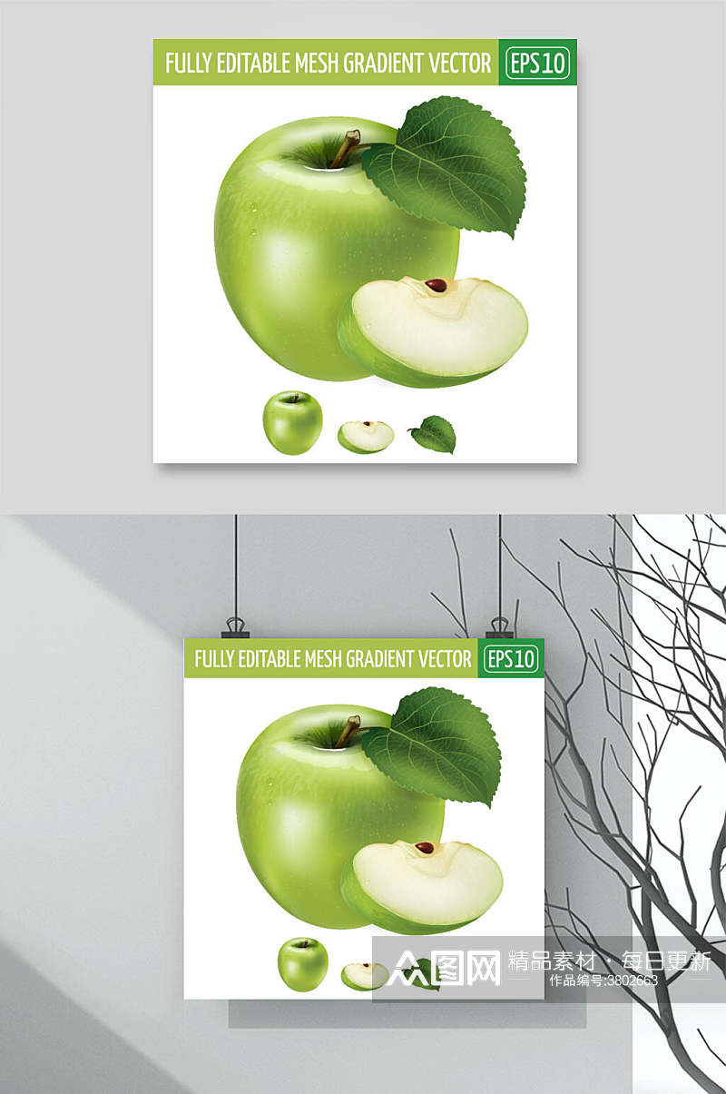 清新精品青苹果水果蔬菜矢量素材素材