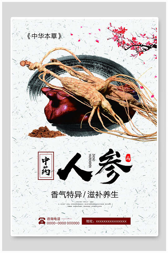 中国风简约人参中医文化中药海报