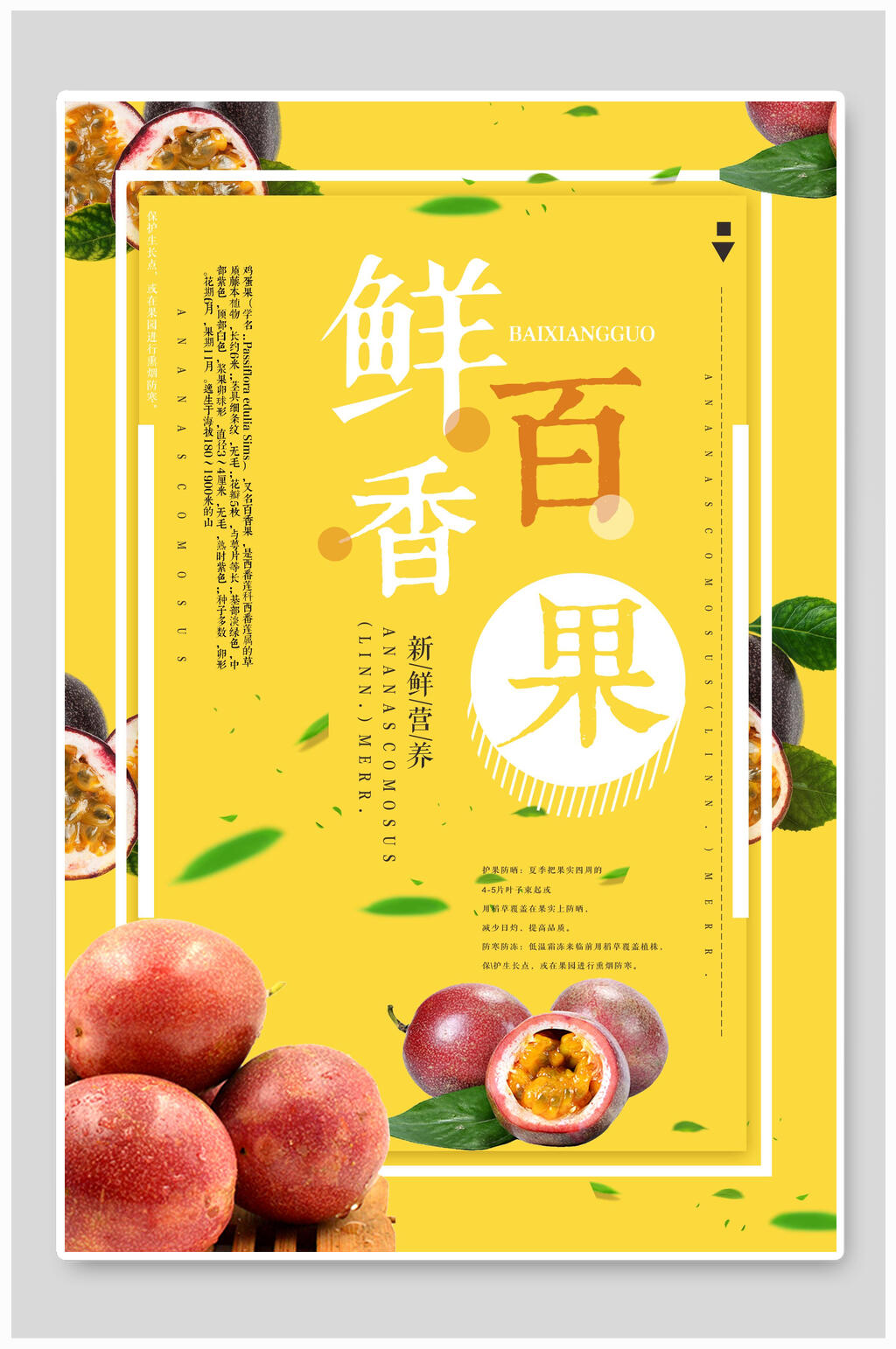鲜香百香果海报素材