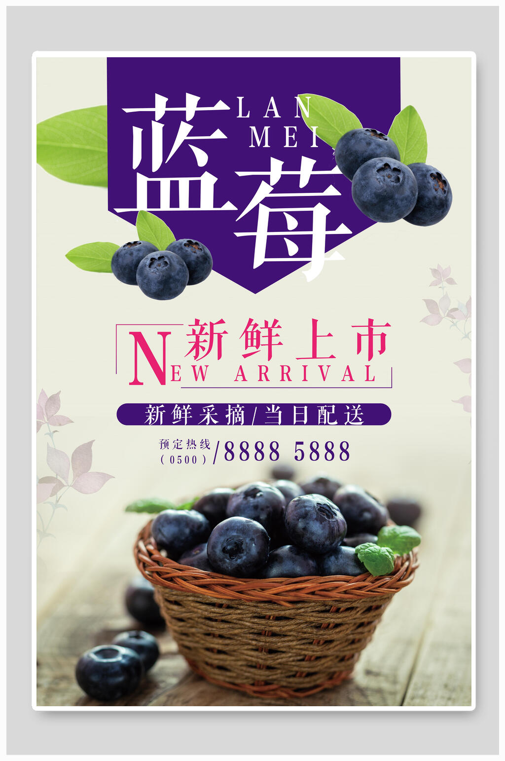 新鲜蓝莓海报素材