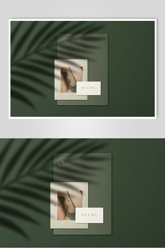 树叶影子绿明信片卡片海报样机-众图网