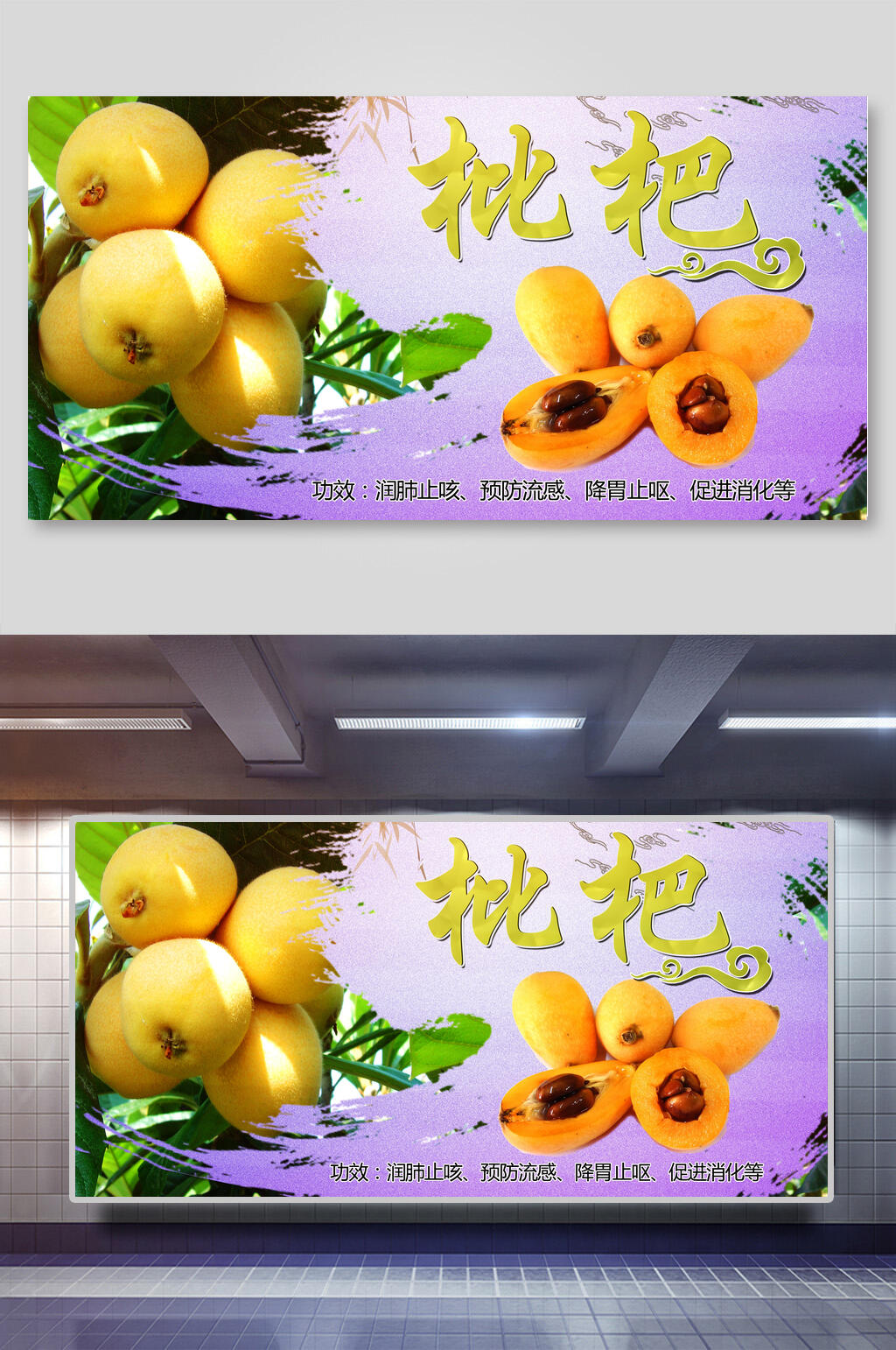 润肺止咳预防流感降胃止呕促进消化枇杷展板素材