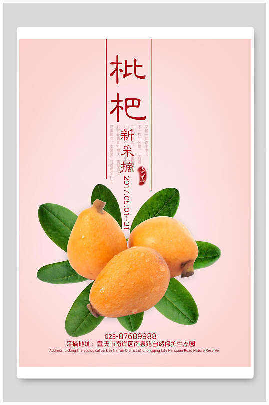 新鲜采摘枇杷海报