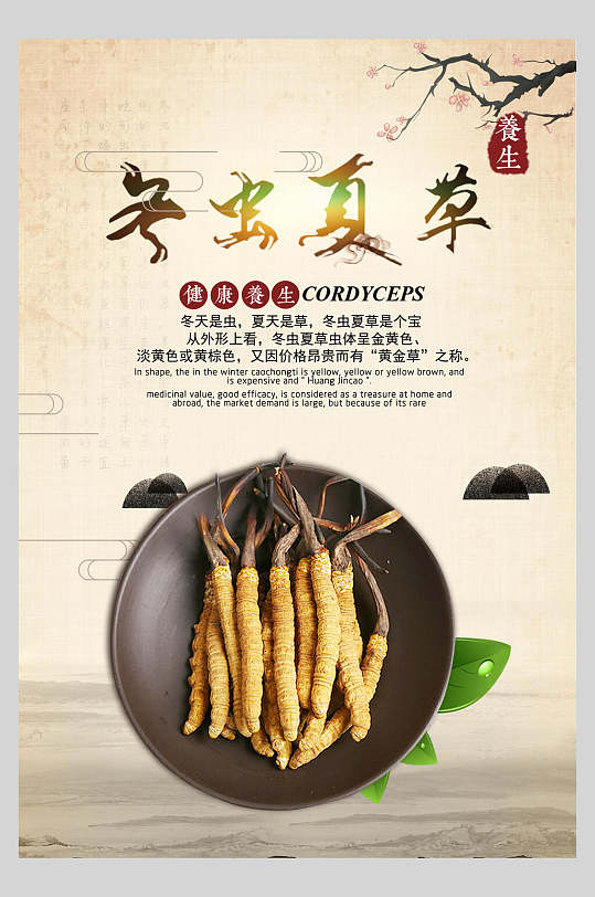 养生滋补冬虫夏草食材促销海报