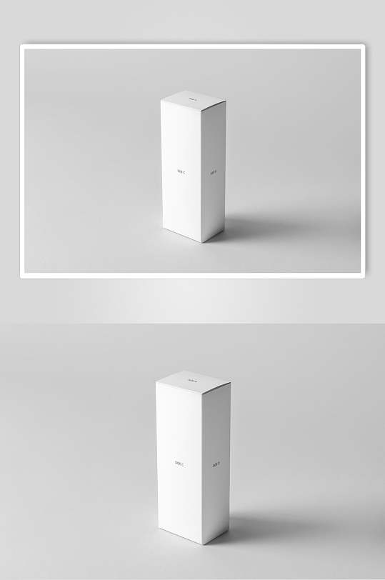 立式方形纸盒样机